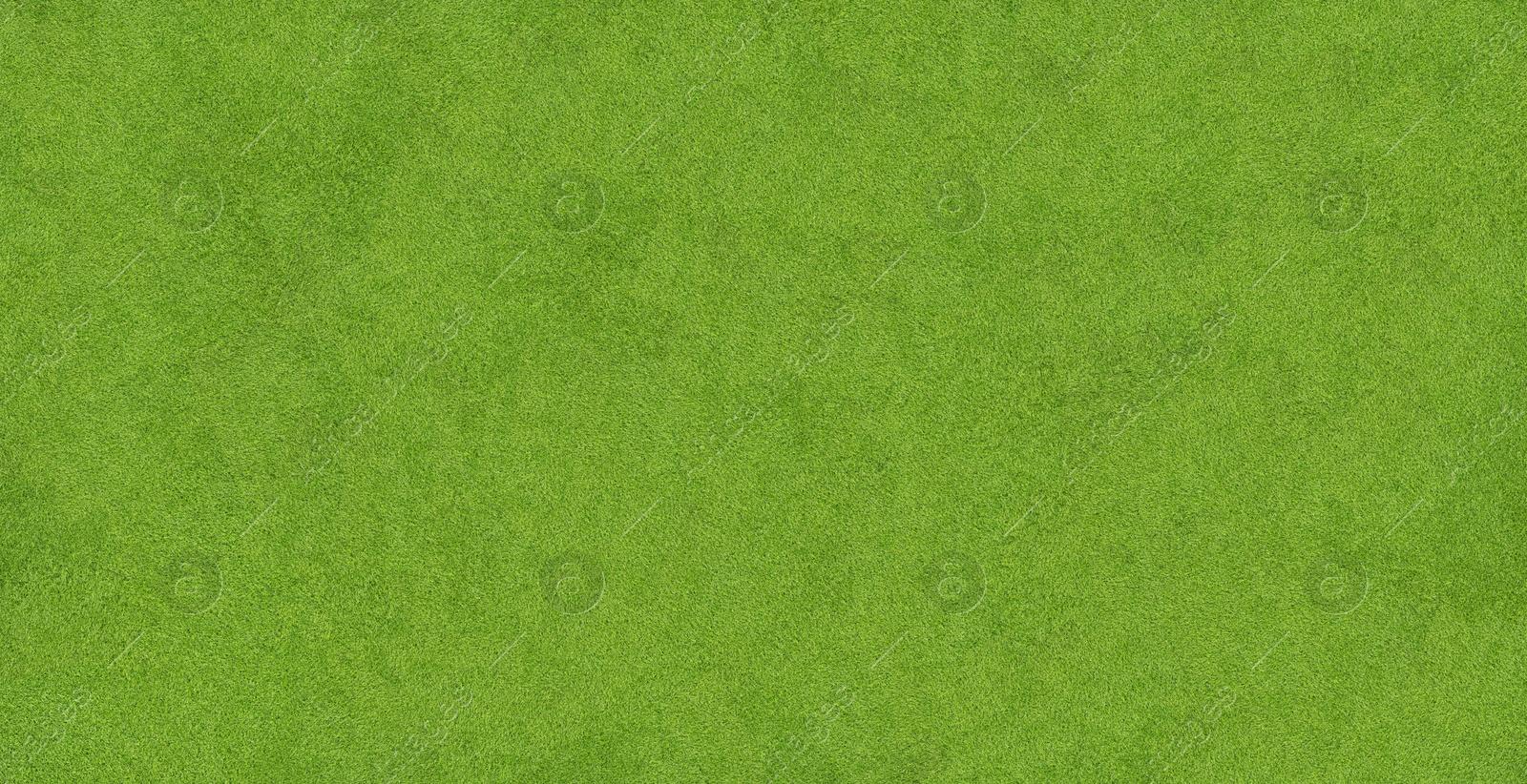 Image of Lush green grass, top view. Banner design