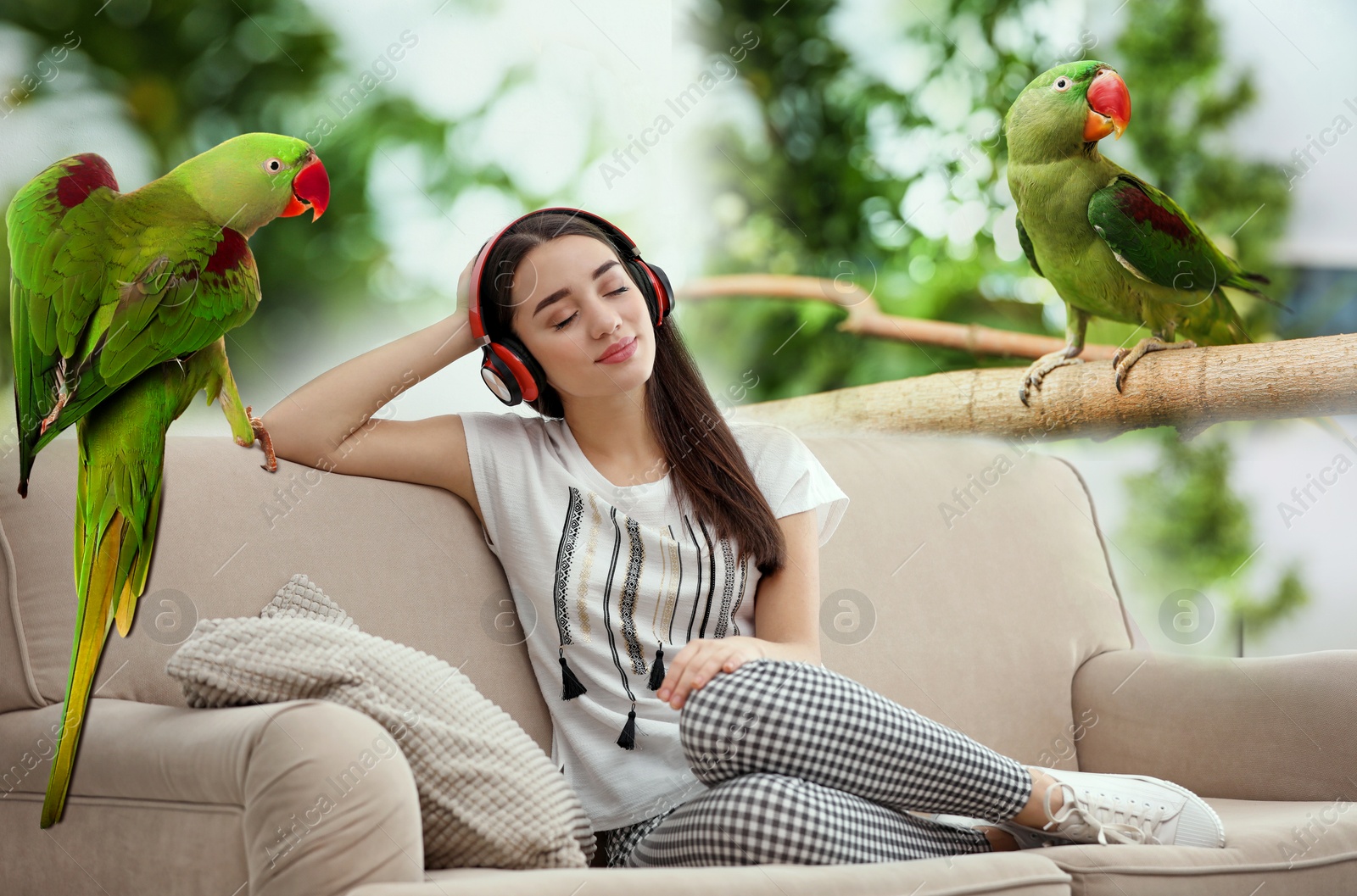 Image of Happy woman listening to sounds of nature which making her feel calm. Double exposure of room and tropical trees with parrots