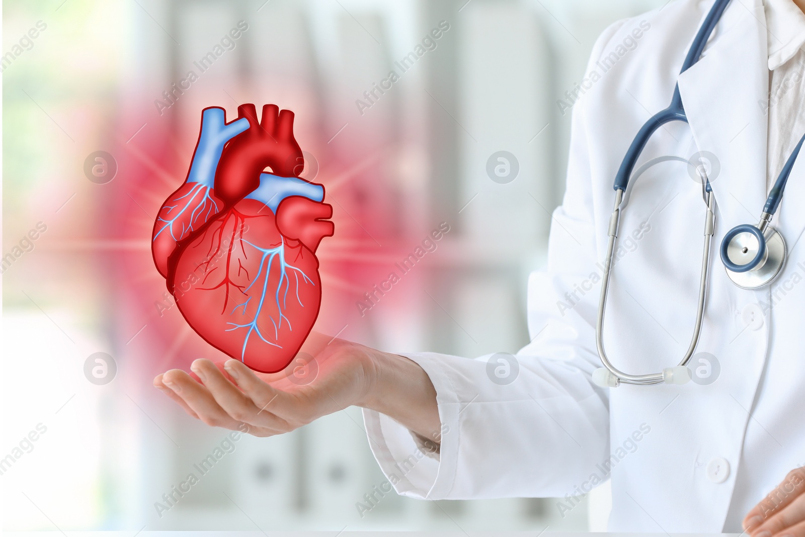 Image of Cardiologist holding illustration of heart in office, closeup