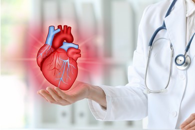 Image of Cardiologist holding illustration of heart in office, closeup