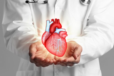 Image of Cardiologist holding illustration of heart in hands, closeup