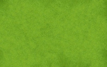 Image of Lush green grass, top view. Banner design