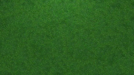 Image of Lush green grass, top view. Banner design