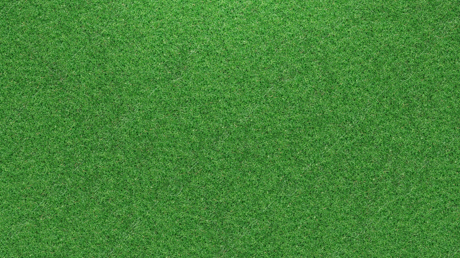 Image of Lush green grass, top view. Banner design