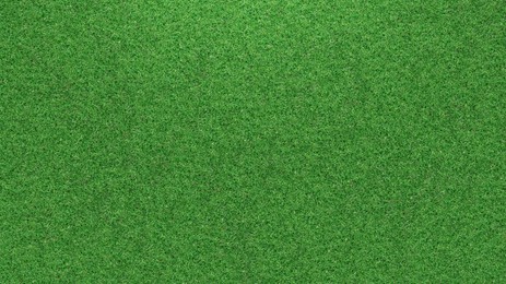 Image of Lush green grass, top view. Banner design