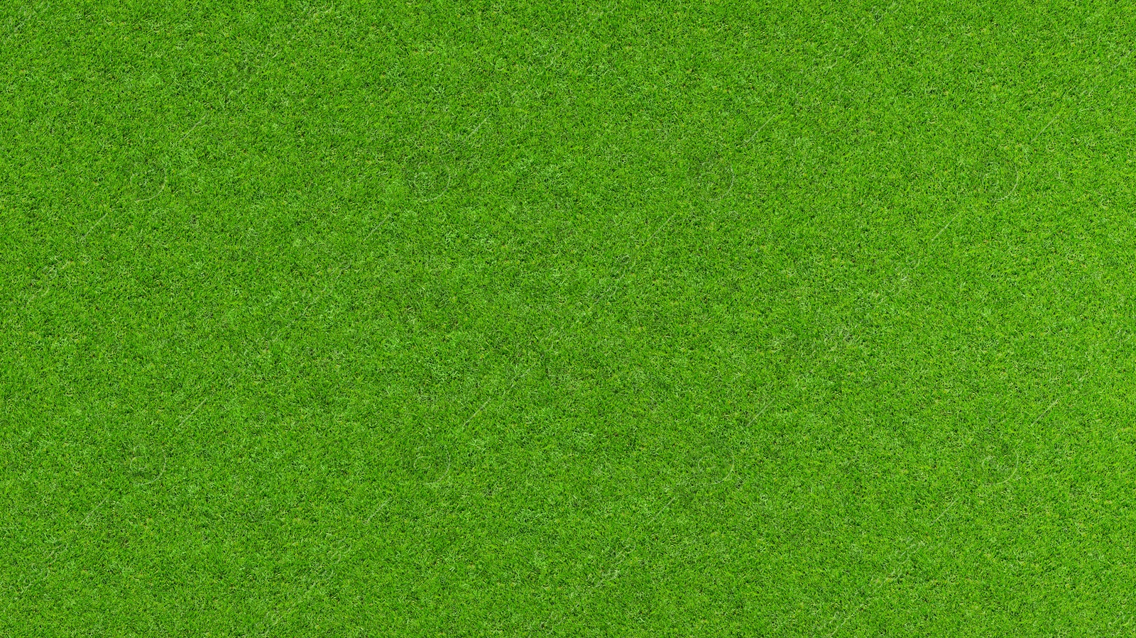 Image of Lush green grass, top view. Banner design