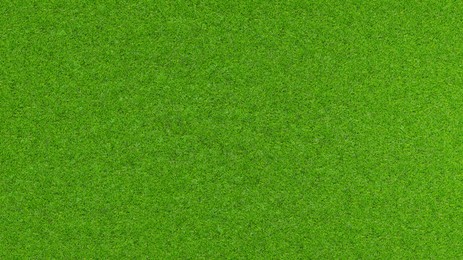 Image of Lush green grass, top view. Banner design