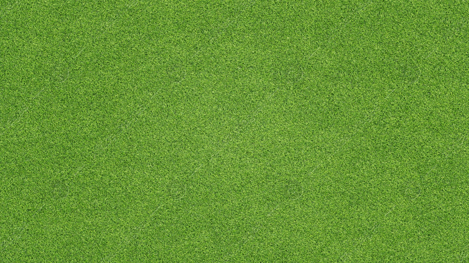 Image of Lush green grass, top view. Banner design