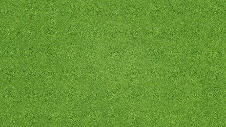 Image of Lush green grass, top view. Banner design