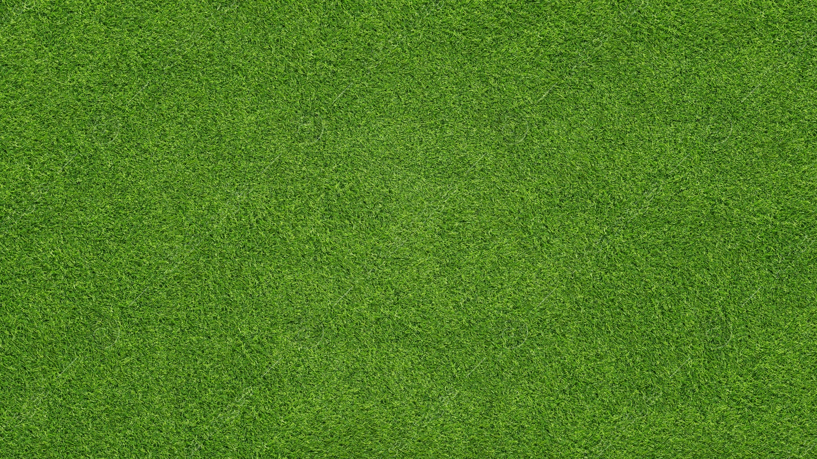 Image of Lush green grass, top view. Banner design
