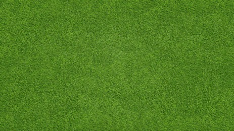 Image of Lush green grass, top view. Banner design