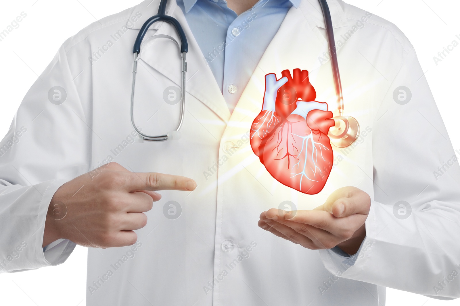 Image of Cardiologist pointing at illustration of heart in his hand against white background, closeup