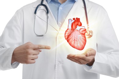 Image of Cardiologist pointing at illustration of heart in his hand against white background, closeup