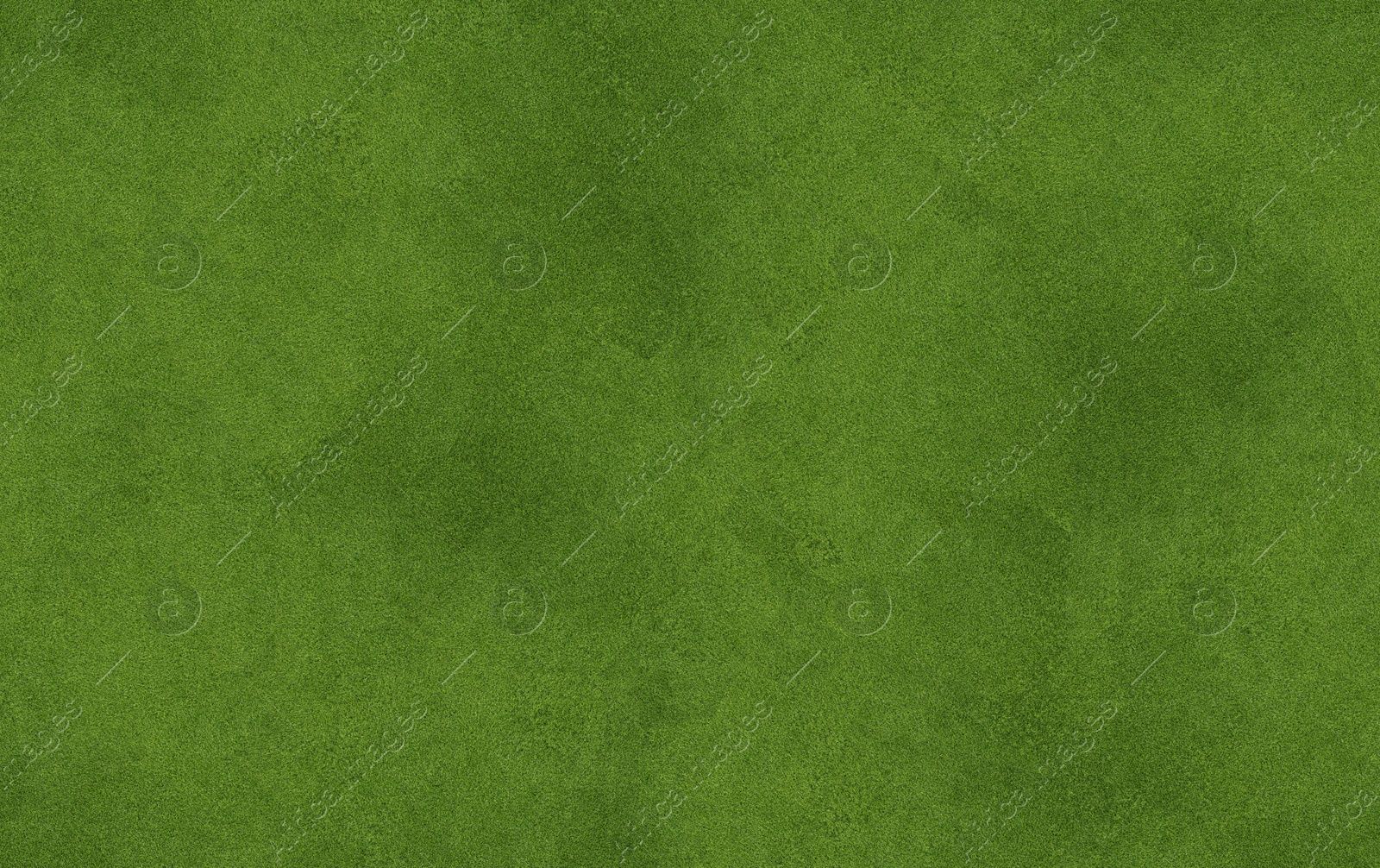 Image of Lush green grass, top view. Banner design