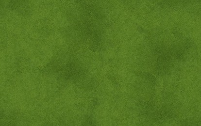Image of Lush green grass, top view. Banner design