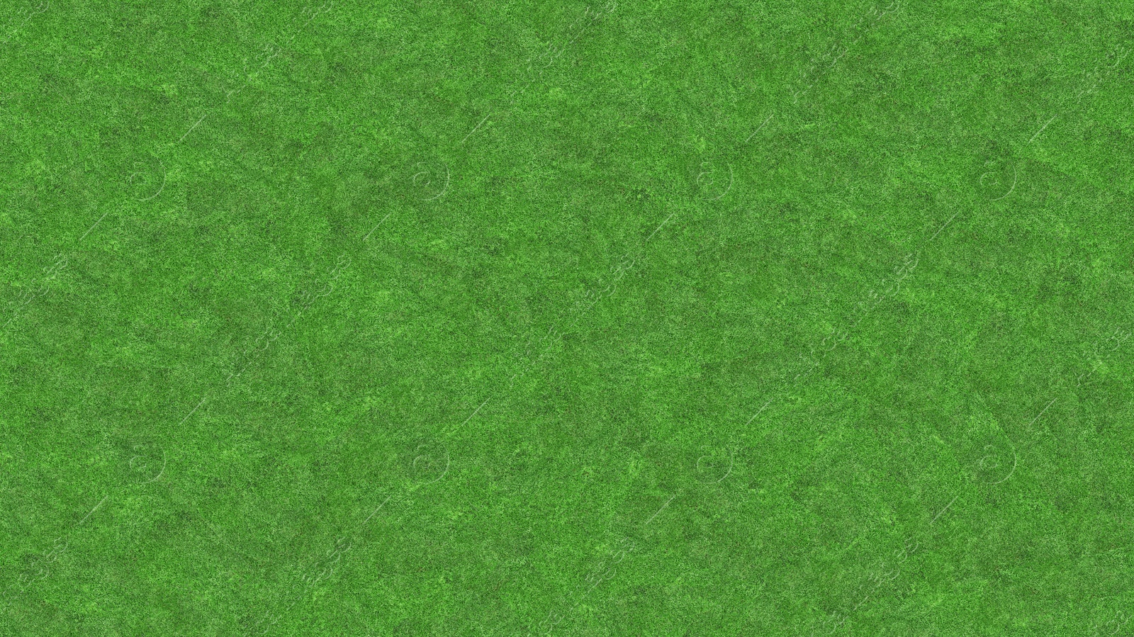Image of Lush green grass, top view. Banner design