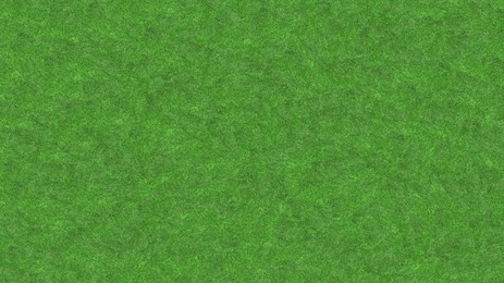 Image of Lush green grass, top view. Banner design