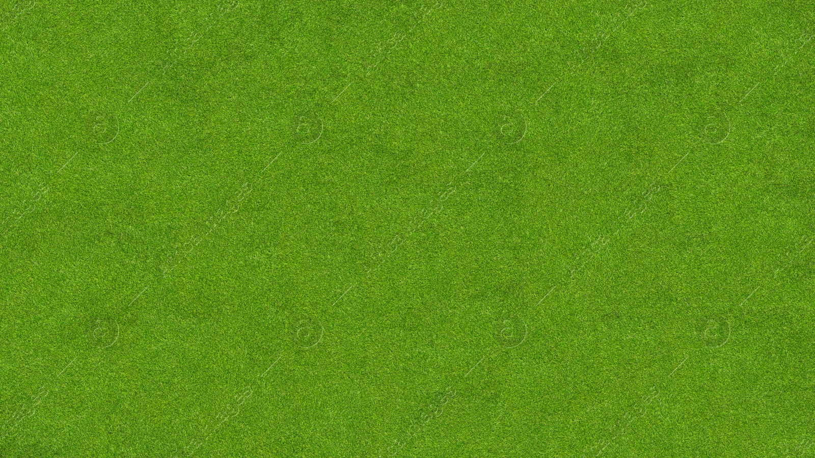 Image of Lush green grass, top view. Banner design