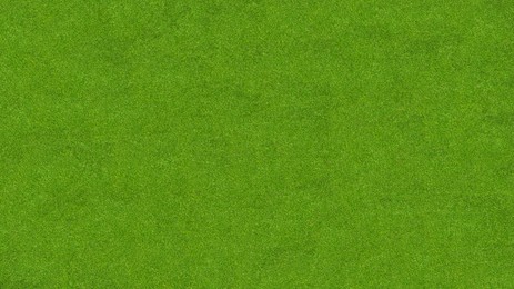 Image of Lush green grass, top view. Banner design