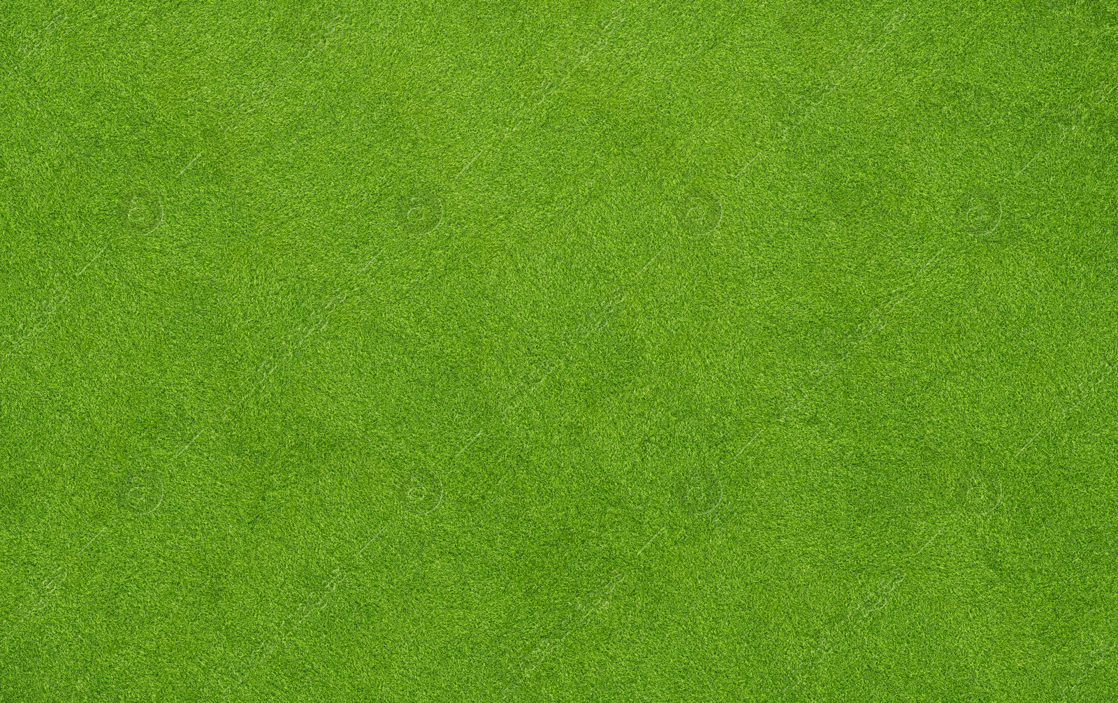 Image of Lush green grass, top view. Banner design