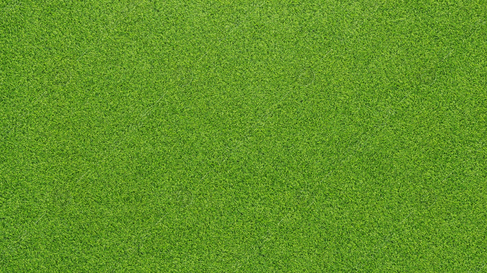 Image of Lush green grass, top view. Banner design