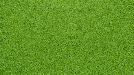 Image of Lush green grass, top view. Banner design