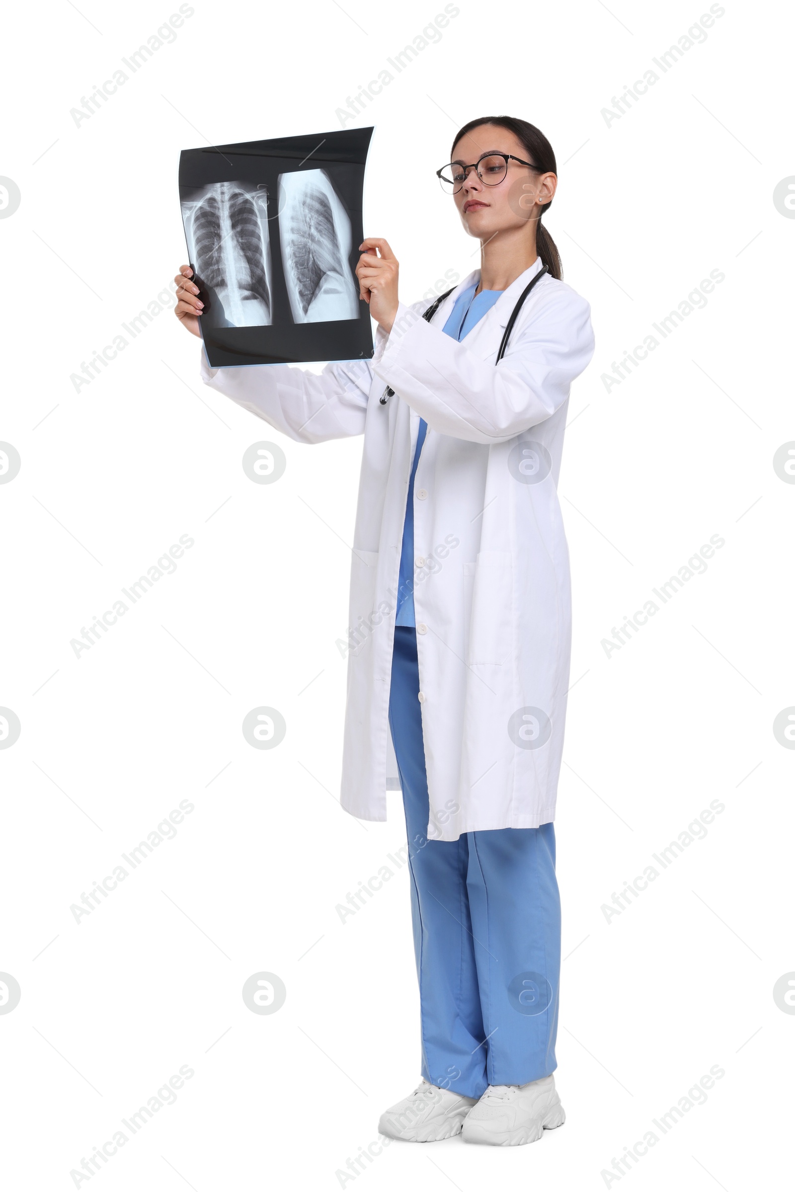 Doctor in uniform and glasses examining MRI scan on white background Photo of Doctor in uniform and glasses examining MRI scan on white background