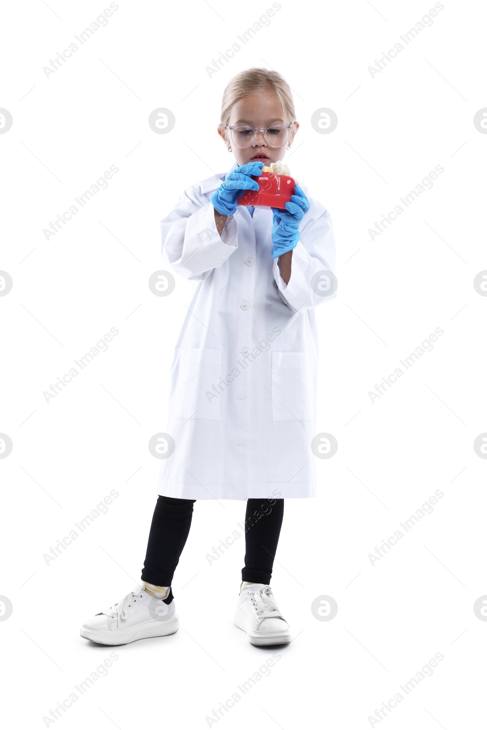 Photo of Choice of profession. Little girl with dental model pretending to be dentist on white background