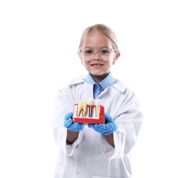 Photo of Choice of profession. Little girl with dental model pretending to be dentist on white background