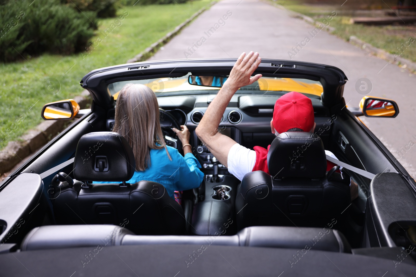 Photo of Senior couple enjoying cabriolet ride outdoors, back view