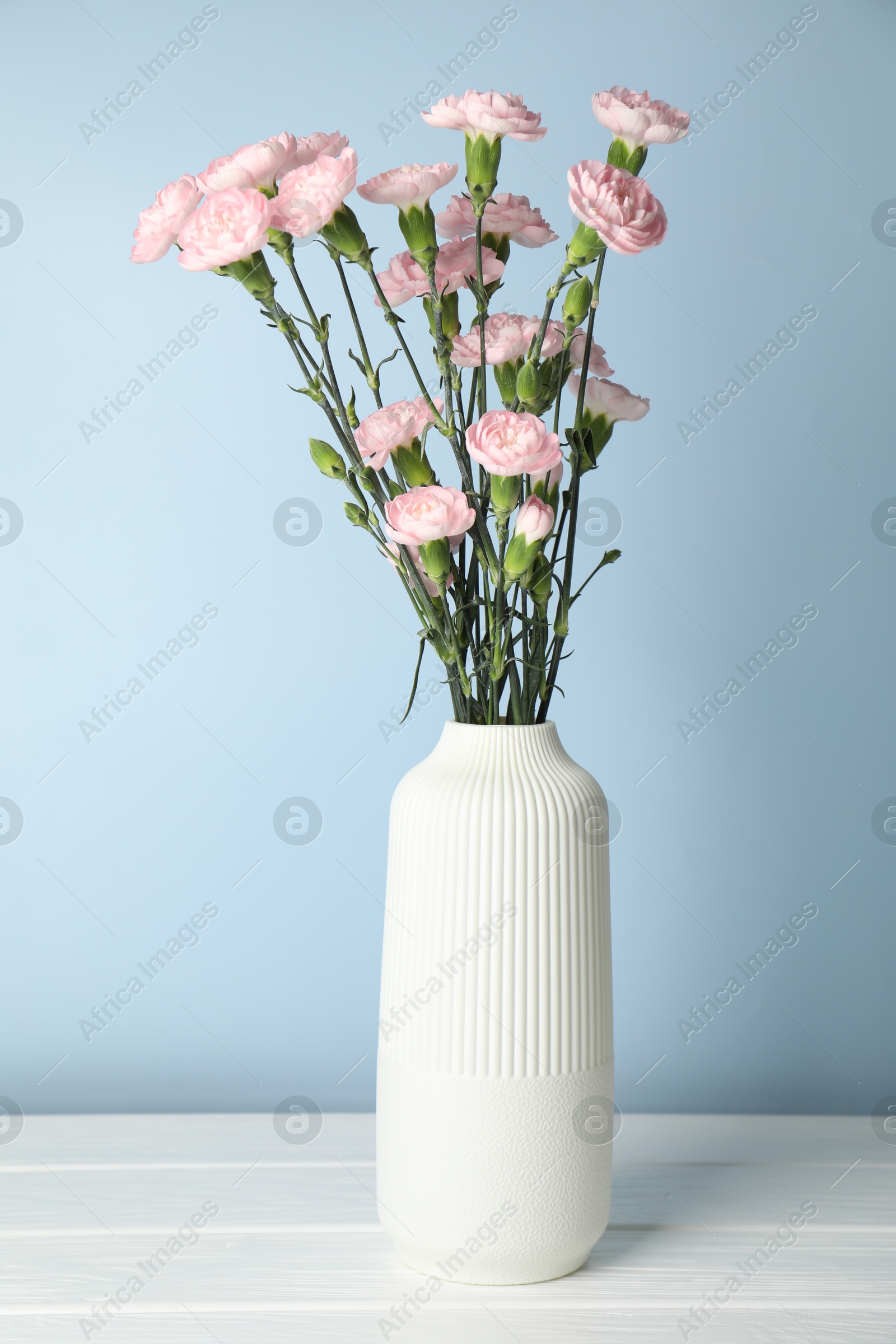 Photo of Beautiful carnation flowers in vase on white wooden table against light blue background