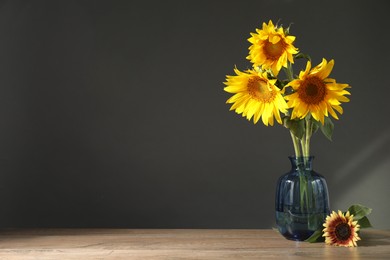 Photo of Beautiful sunflowers in vase on wooden table against black background, space for text
