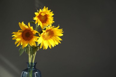 Photo of Beautiful sunflowers in vase on black background, closeup. Space for text