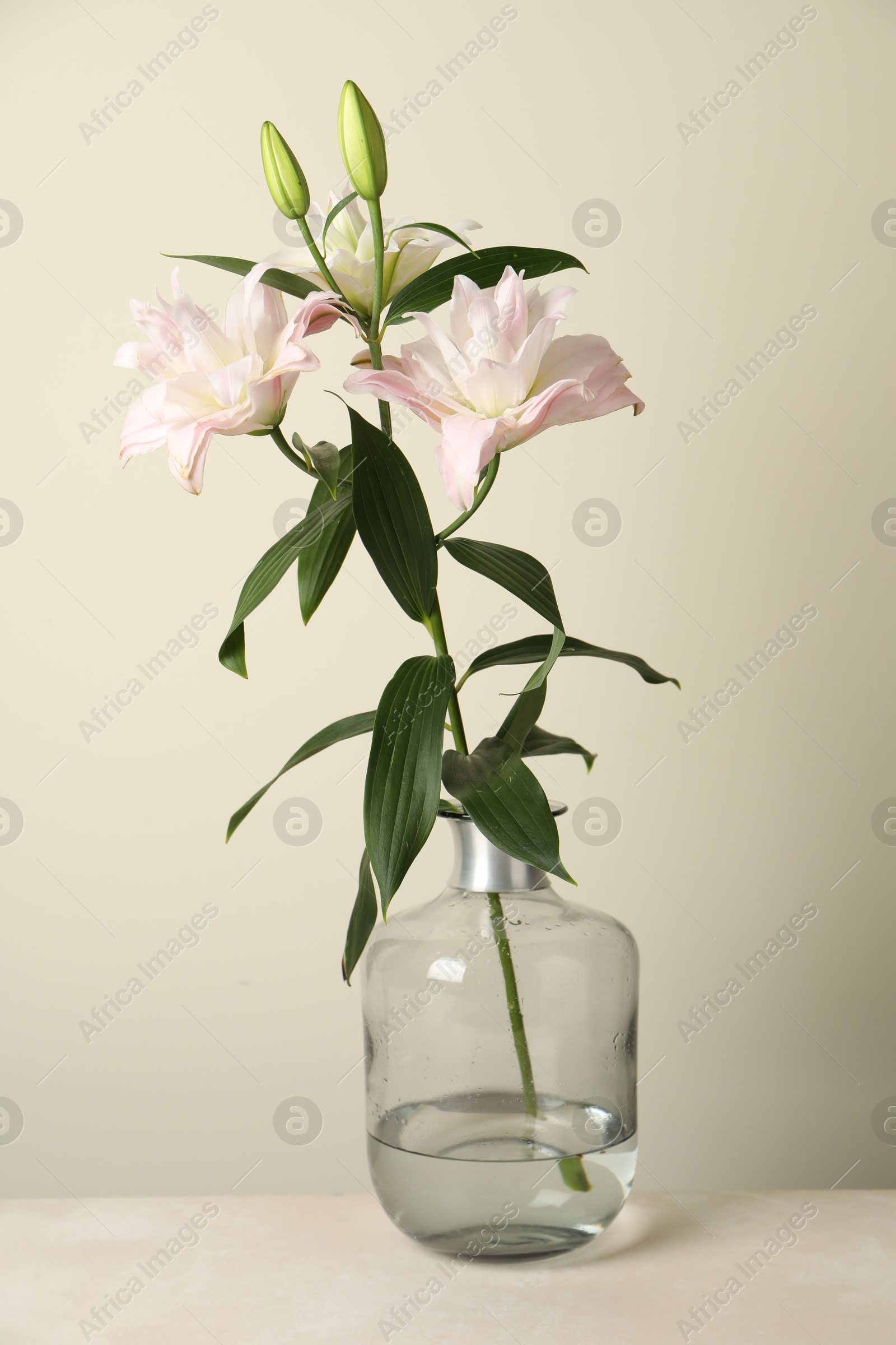 Beautiful lily flowers in glass vase on table near beige wall Photo of Beautiful lily flowers in glass vase on table near beige wall