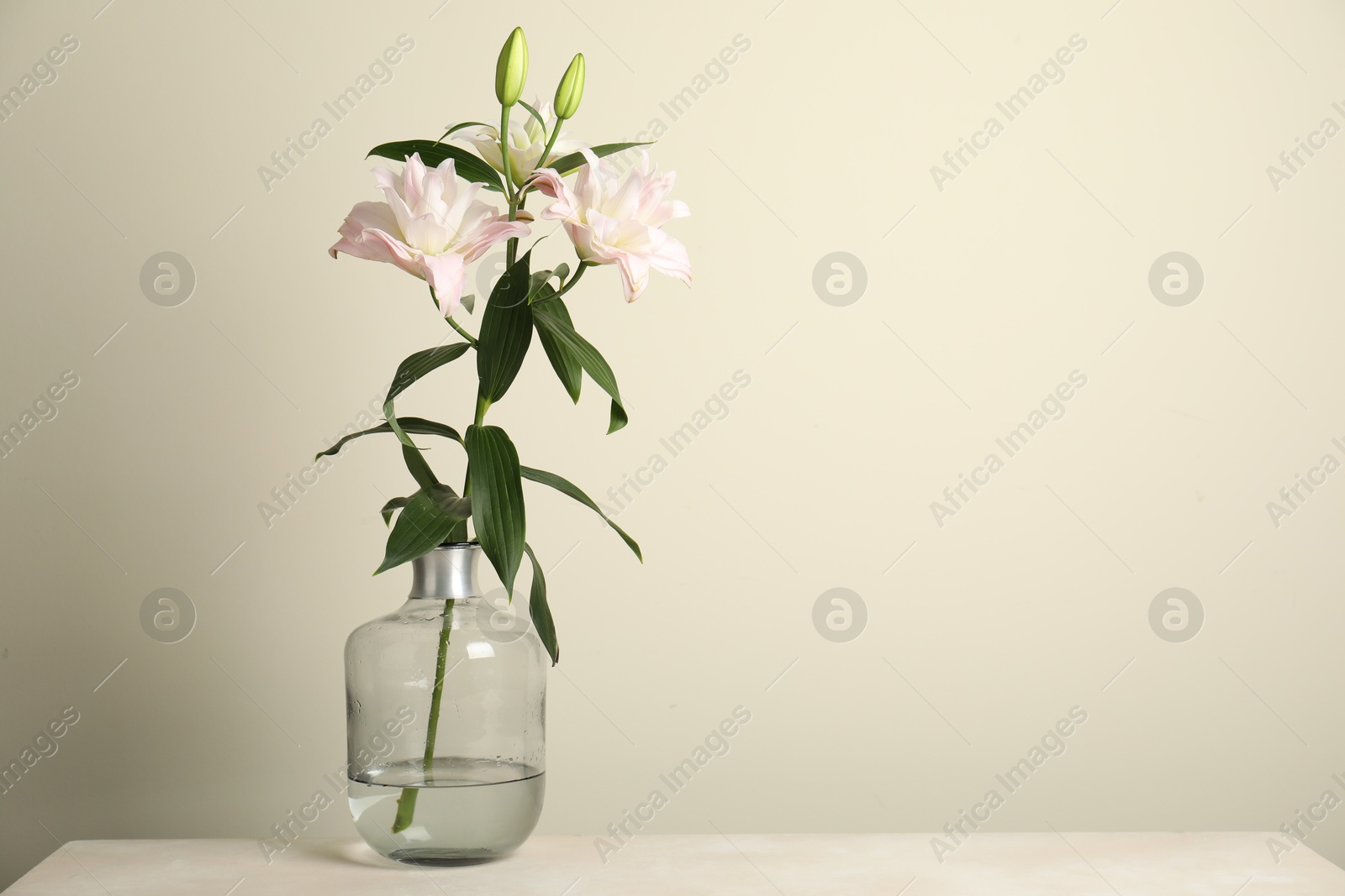 Beautiful lily flowers in glass vase on table near beige wall, space for text Photo of Beautiful lily flowers in glass vase on table near beige wall, space for text