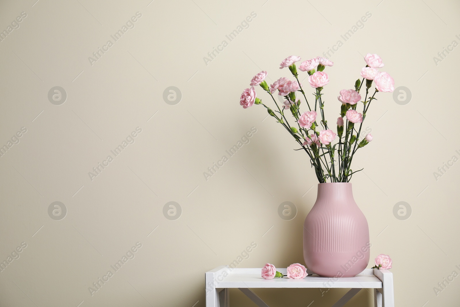 Beautiful carnation flowers in vase on white stand near beige wall indoors, space for text Photo of Beautiful carnation flowers in vase on white stand near beige wall indoors, space for text
