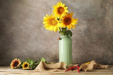 Photo of Beautiful sunflowers in can used as vase and secateurs on wooden table