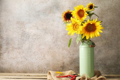 Photo of Beautiful sunflowers in can used as vase and secateurs on wooden table, space for text