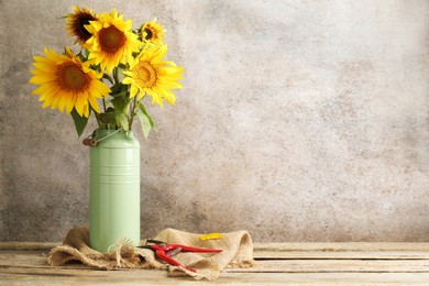 Photo of Beautiful sunflowers in can used as vase and secateurs on wooden table, space for text