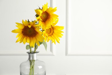 Photo of Beautiful sunflowers in glass vase near white wall indoors, closeup. Space for text
