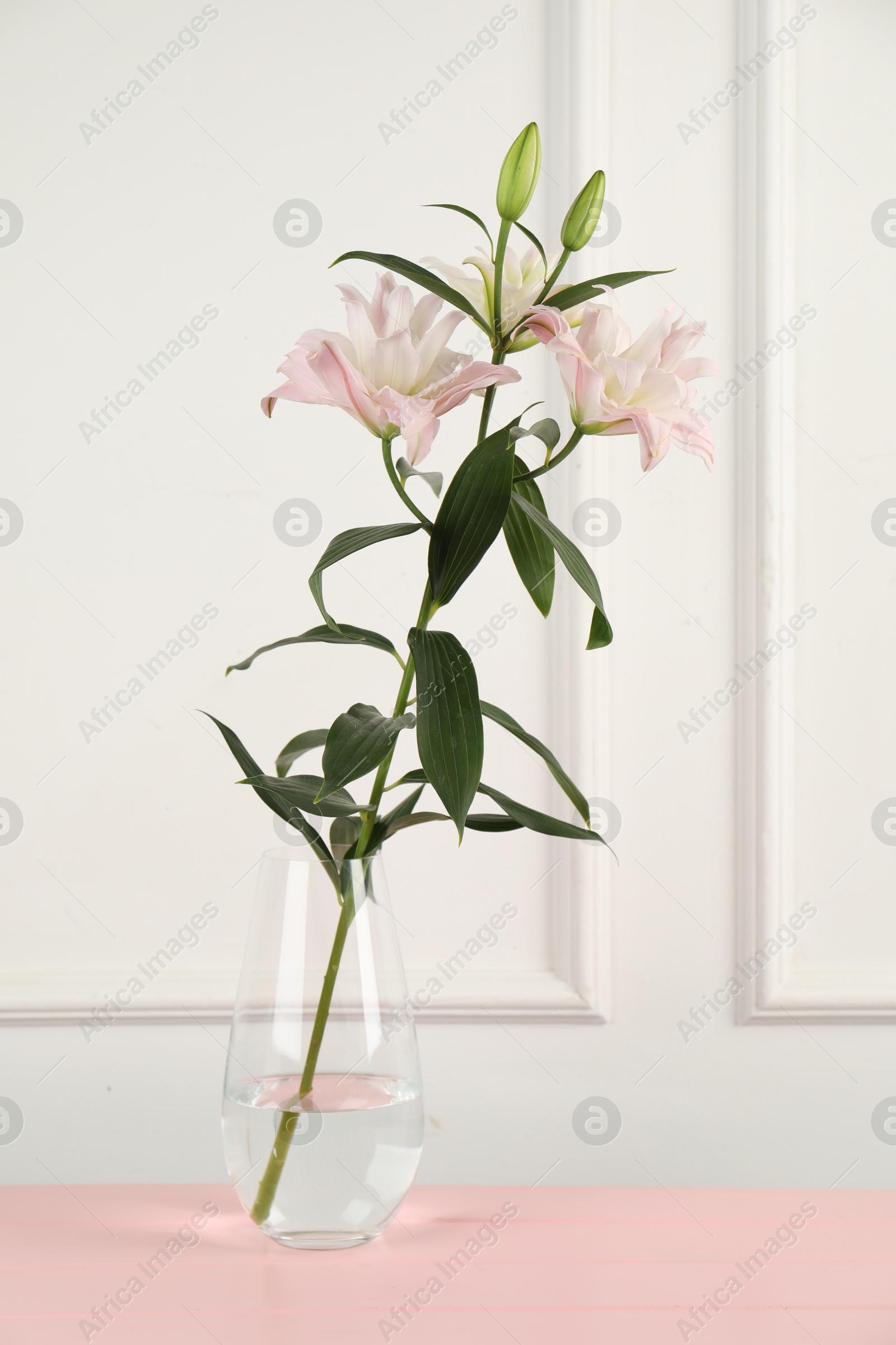 Beautiful lily flowers in glass vase on pink wooden table near white wall indoors Photo of Beautiful lily flowers in glass vase on pink wooden table near white wall indoors
