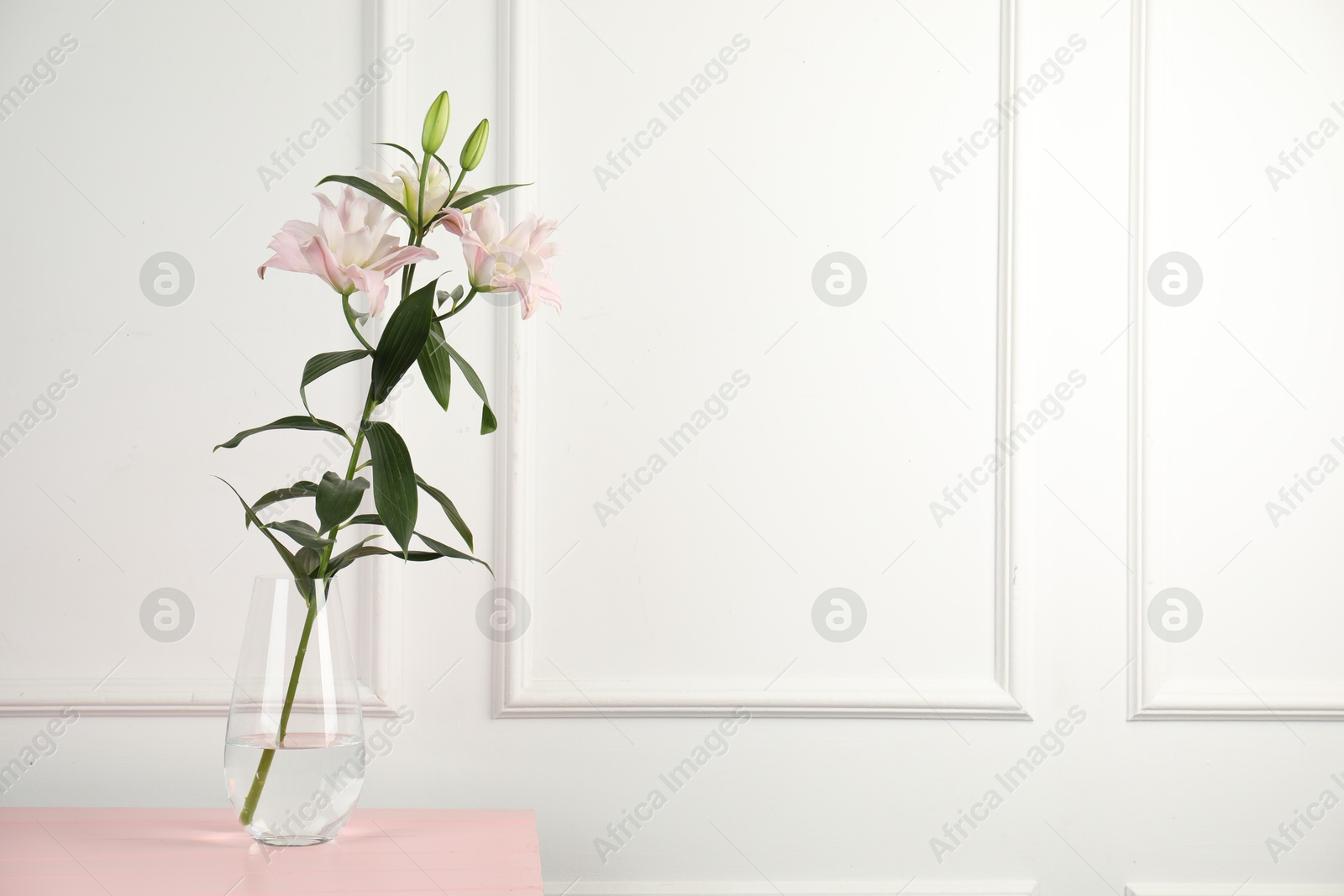 Beautiful lily flowers in glass vase on pink wooden table near white wall indoors, space for text Photo of Beautiful lily flowers in glass vase on pink wooden table near white wall indoors, space for text