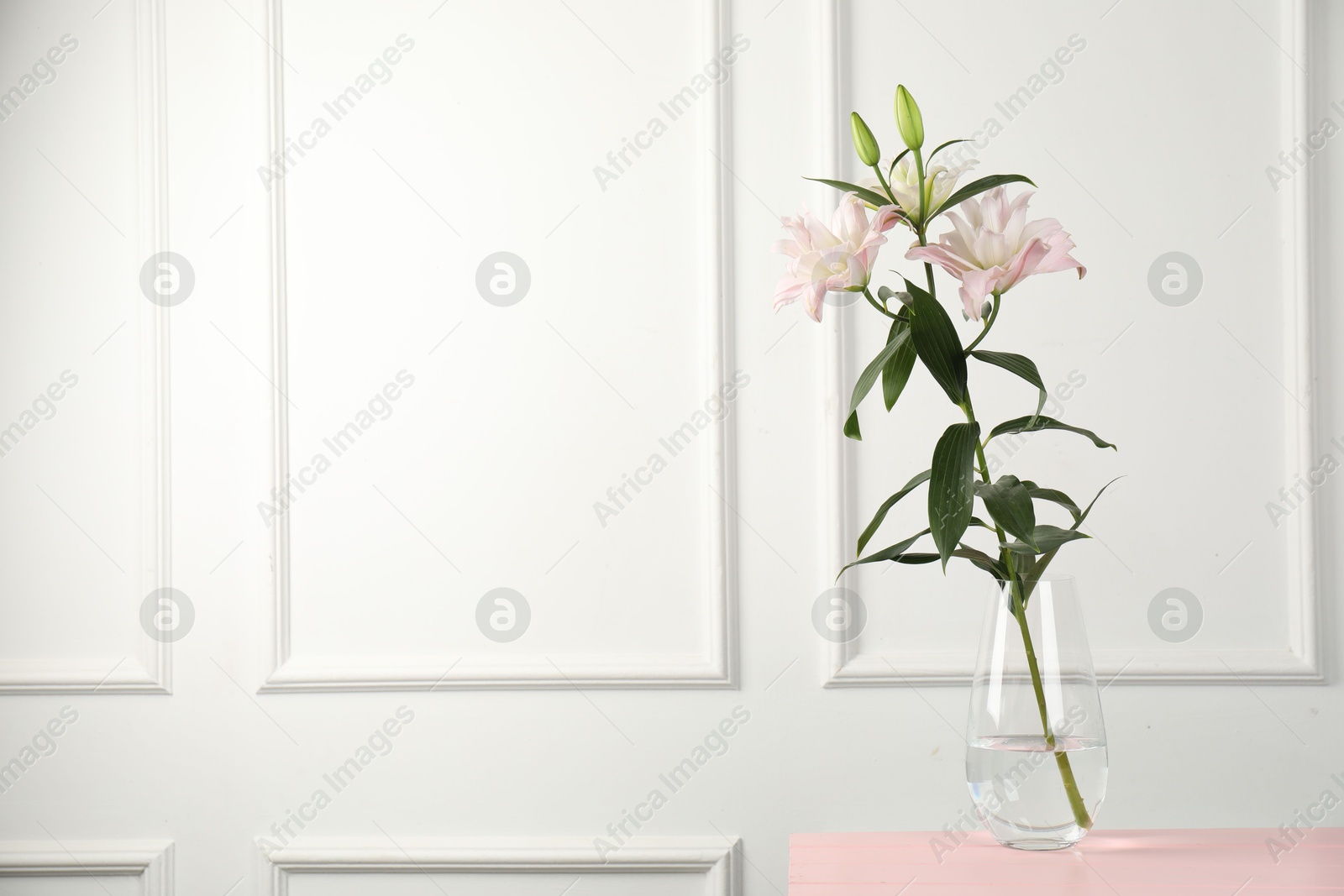 Beautiful lily flowers in glass vase on pink wooden table near white wall indoors, space for text Photo of Beautiful lily flowers in glass vase on pink wooden table near white wall indoors, space for text
