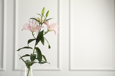 Photo of Beautiful lily flowers near white wall indoors, space for text