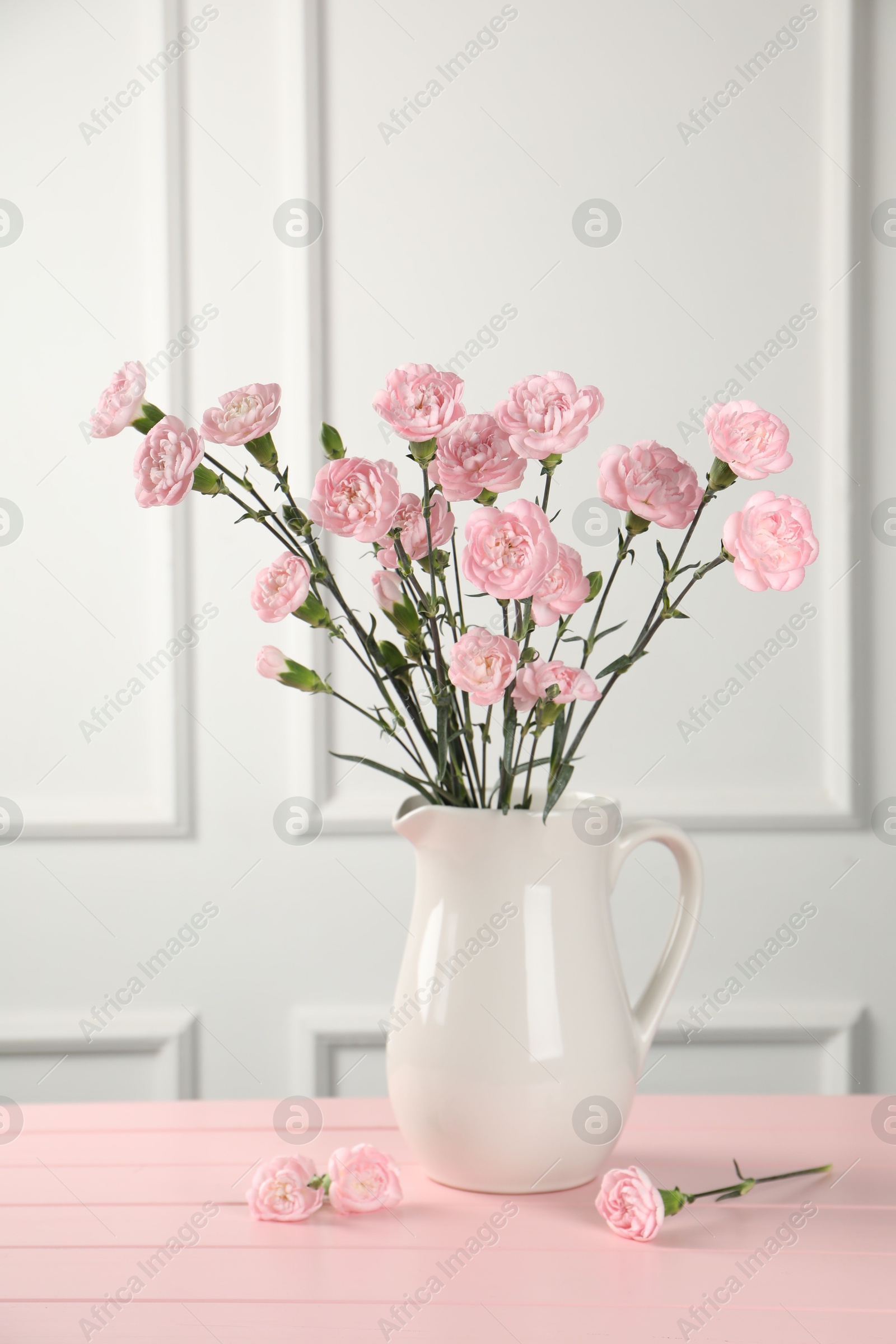 Beautiful carnation flowers in vase on pink wooden table near white wall indoors Photo of Beautiful carnation flowers in vase on pink wooden table near white wall indoors