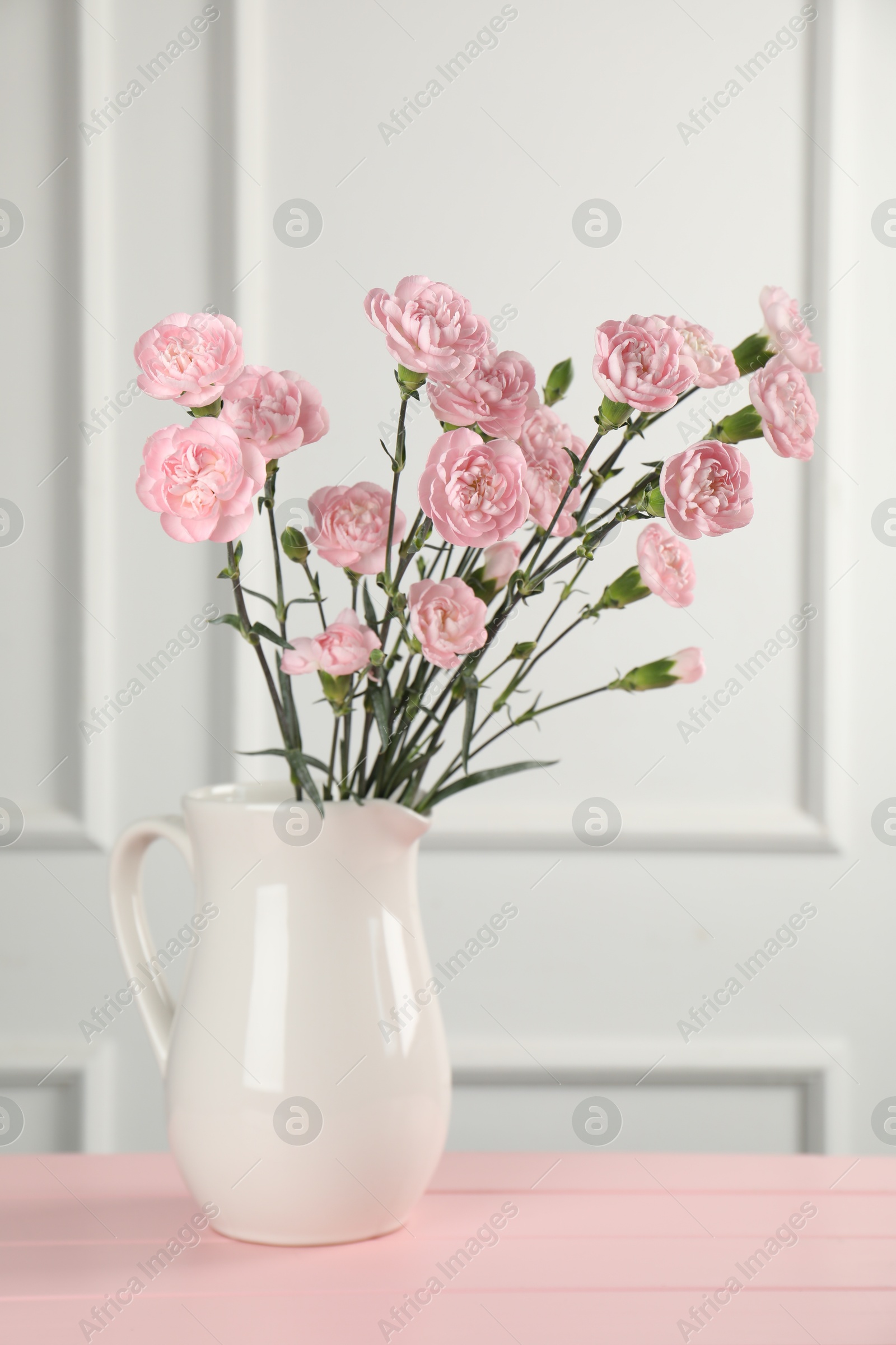 Beautiful carnation flowers in vase on pink wooden table near white wall indoors Photo of Beautiful carnation flowers in vase on pink wooden table near white wall indoors