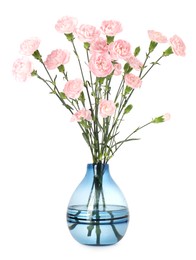 Photo of Beautiful carnation flowers in vase isolated on white