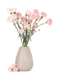 Photo of Beautiful carnation flowers in vase isolated on white