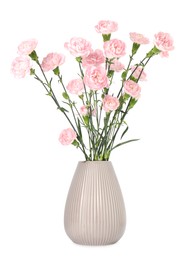 Photo of Beautiful carnation flowers in vase isolated on white