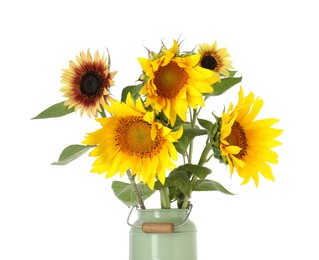 Photo of Beautiful sunflowers in can used as vase isolated on white